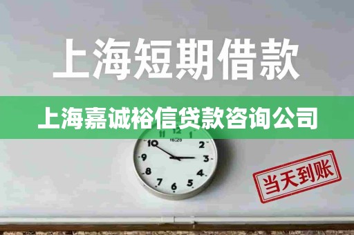 上海嘉诚裕信贷款咨询公司